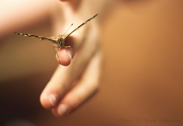 攻击网站在线工具